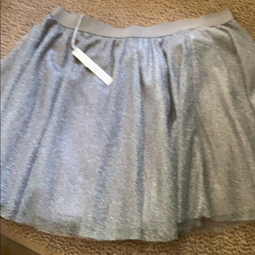 Silver Sparkling Circle Skirt